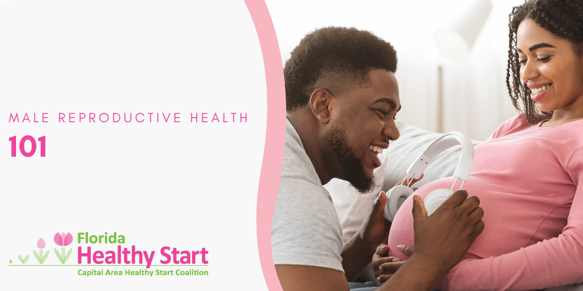 Healthy Fathers & Pregnancy – 1