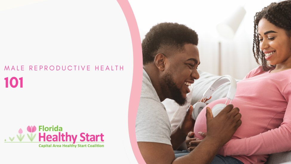 Healthy Fathers & Pregnancy – 1