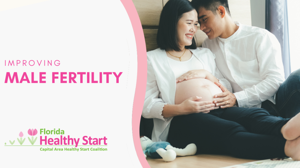 Healthy Fathers & Pregnancy – 2