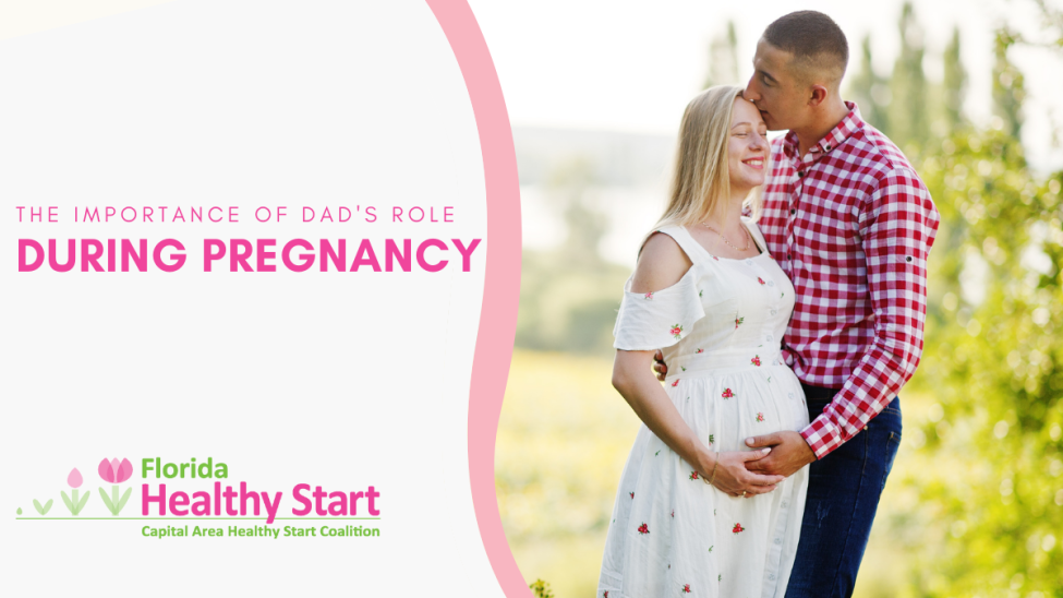 Healthy Fathers & Pregnancy – 3