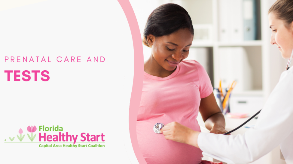 Prenatal Care – 3