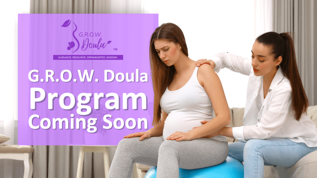 Community Doula Program Capital Area Healthy Start 1625